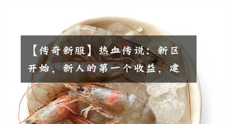 【传奇新服】热血传说：新区开始，新人的第一个收益，建议从新手圣地开始。