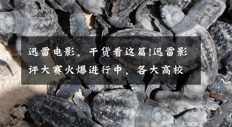迅雷电影，干货看这篇!迅雷影评大赛火爆进行中，各大高校刮起观影热潮！