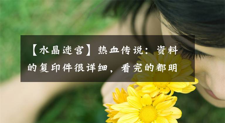 【水晶迷宫】热血传说：资料的复印件很详细，看完的都明白了