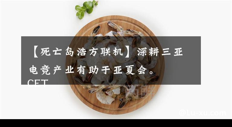 【死亡岛浩方联机】深耕三亚电竞产业有助于亚夏会。
CET三亚竞技青少年嘉年华隆重开幕