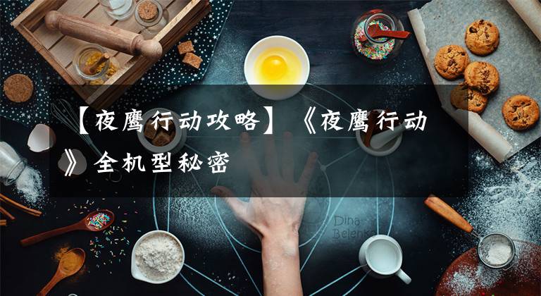 【夜鹰行动攻略】《夜鹰行动》全机型秘密