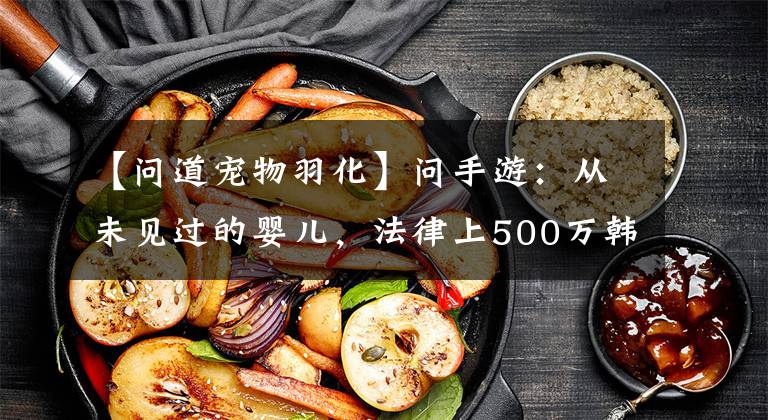 【问道宠物羽化】问手游：从未见过的婴儿，法律上500万韩元，世界老板也受不了。