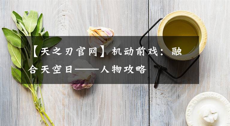 【天之刃官网】机动前戏：融合天空日——人物攻略