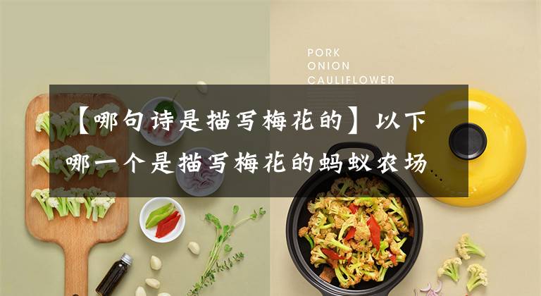 【哪句诗是描写梅花的】以下哪一个是描写梅花的蚂蚁农场？赠送一个春天，还是春水绕着花转？