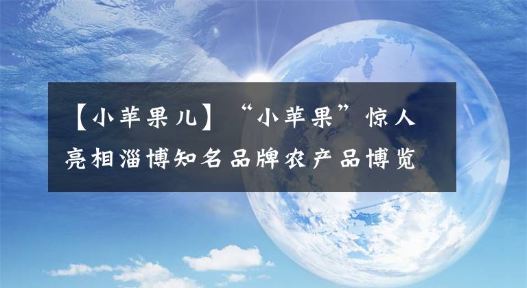 【小苹果儿】“小苹果”惊人亮相淄博知名品牌农产品博览会