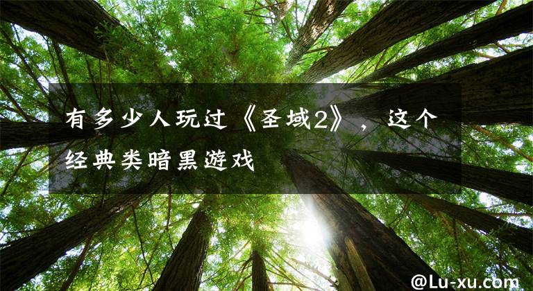 有多少人玩过《圣域2》，这个经典类暗黑游戏