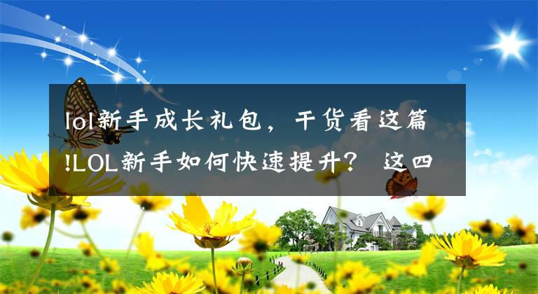 lol新手成长礼包，干货看这篇!LOL新手如何快速提升？ 这四大要点需谨记