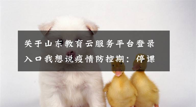 关于山东教育云服务平台登录入口我想说疫情防控期：停课不停学，各地在行动