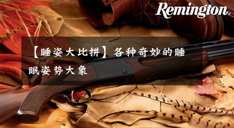 【睡姿大比拼】各种奇妙的睡眠姿势大象