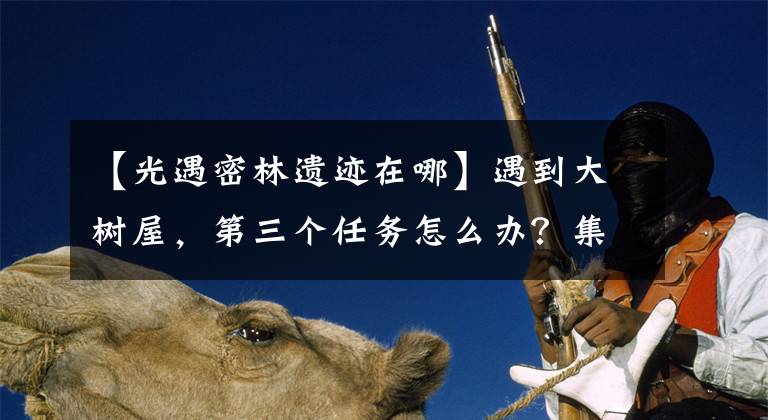 【光遇密林遗迹在哪】遇到大树屋，第三个任务怎么办？集会季会见大树屋第三次任务攻略。