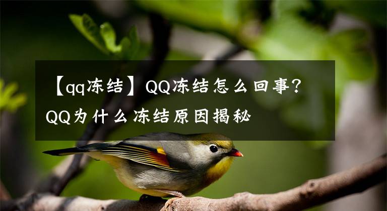 【qq冻结】QQ冻结怎么回事？QQ为什么冻结原因揭秘