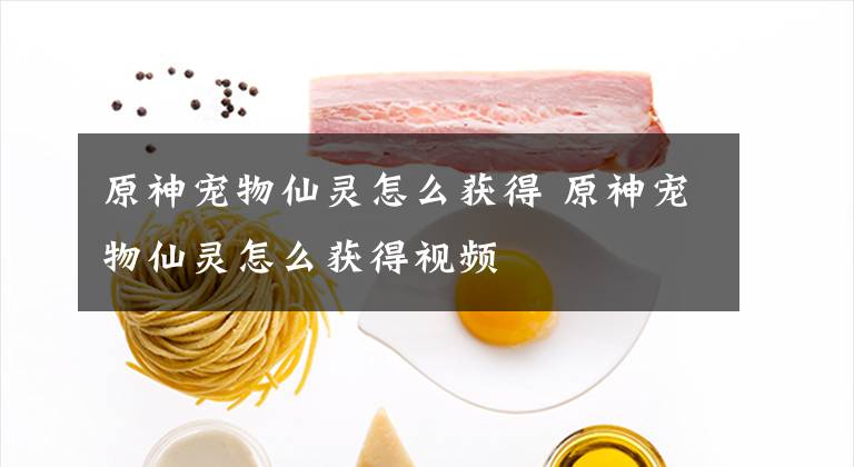 原神宠物仙灵怎么获得 原神宠物仙灵怎么获得视频
