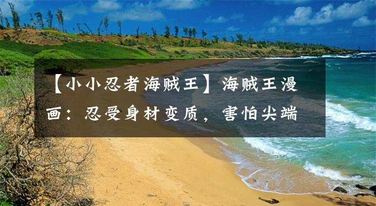 【小小忍者海贼王】海贼王漫画：忍受身材变质，害怕尖端武器，尾田借用御前揭露缘由。