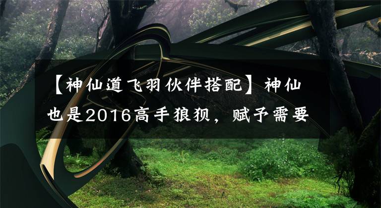 【神仙道飞羽伙伴搭配】神仙也是2016高手狼狈，赋予需要注意的细节。