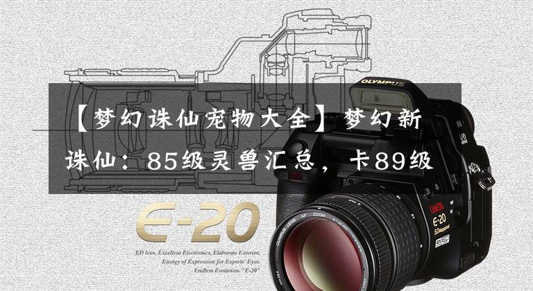【梦幻诛仙宠物大全】梦幻新诛仙：85级灵兽汇总，卡89级的玩家应该优先培养哪些宠物？