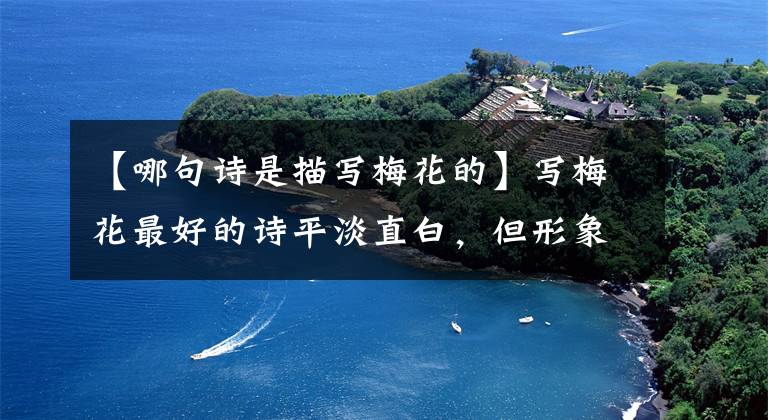 【哪句诗是描写梅花的】写梅花最好的诗平淡直白，但形象生动，有气魄，可以说是名牌