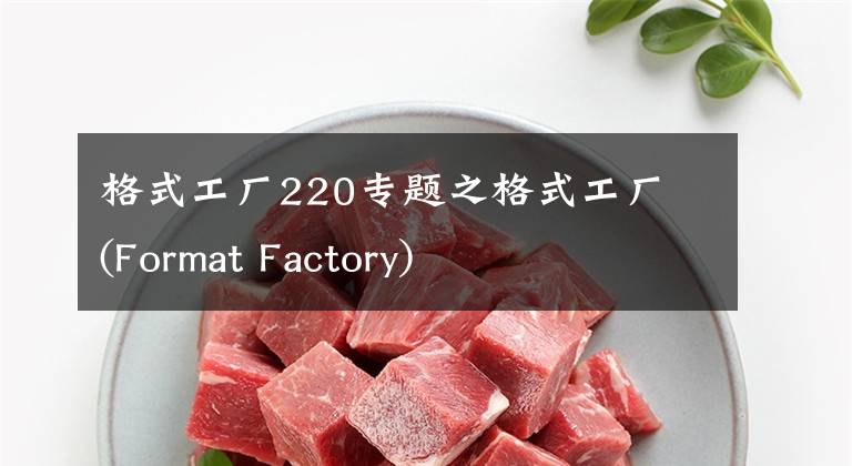 格式工厂220专题之格式工厂 (Format Factory)