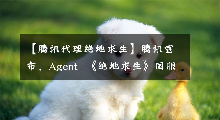 【腾讯代理绝地求生】腾讯宣布，Agent  《绝地求生》国服Steam版在吃鸡方面获得了很多差评。