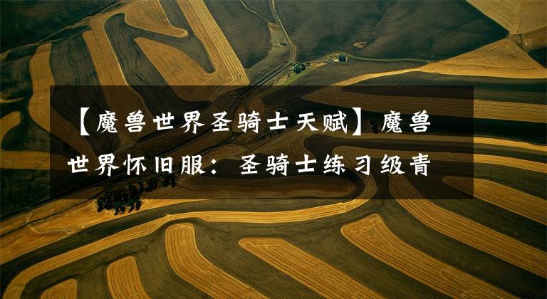 【魔兽世界圣骑士天赋】魔兽世界怀旧服：圣骑士练习级青山类
