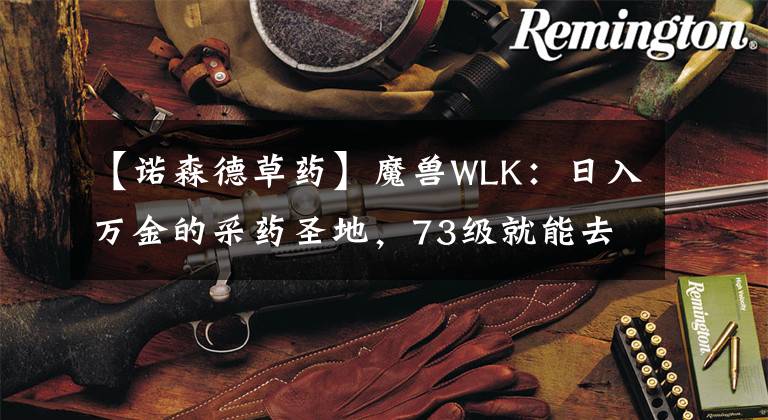 【诺森德草药】魔兽WLK：日入万金的采药圣地，73级就能去刷，掉落多种贵重草药