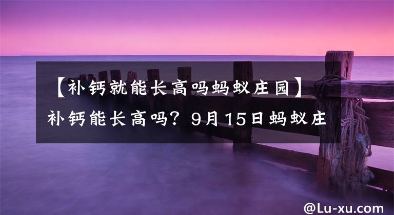 【补钙就能长高吗蚂蚁庄园】补钙能长高吗？9月15日蚂蚁庄园今天答复