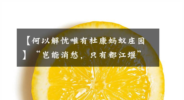 【何以解忧唯有杜康蚂蚁庄园】“岂能消愁，只有都江堰”