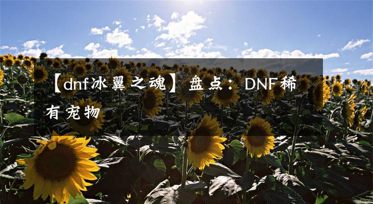 【dnf冰翼之魂】盘点：DNF稀有宠物