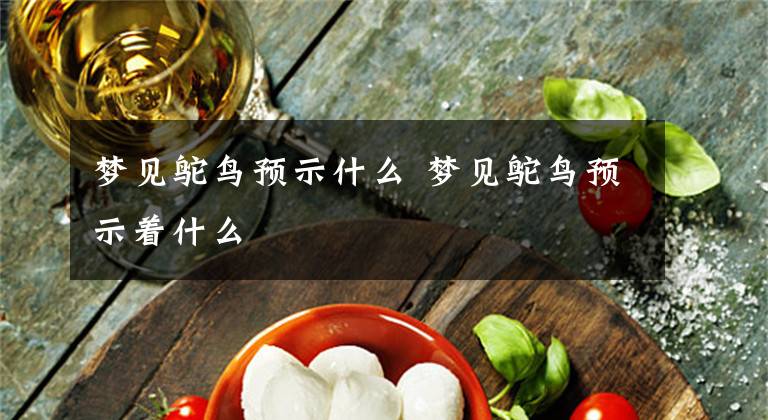 梦见鸵鸟预示什么 梦见鸵鸟预示着什么