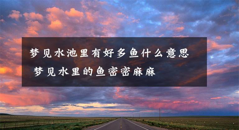 梦见水池里有好多鱼什么意思 梦见水里的鱼密密麻麻