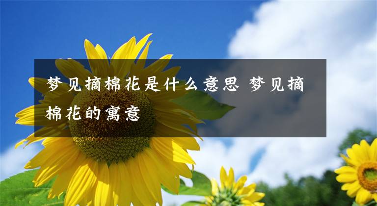 梦见摘棉花是什么意思 梦见摘棉花的寓意