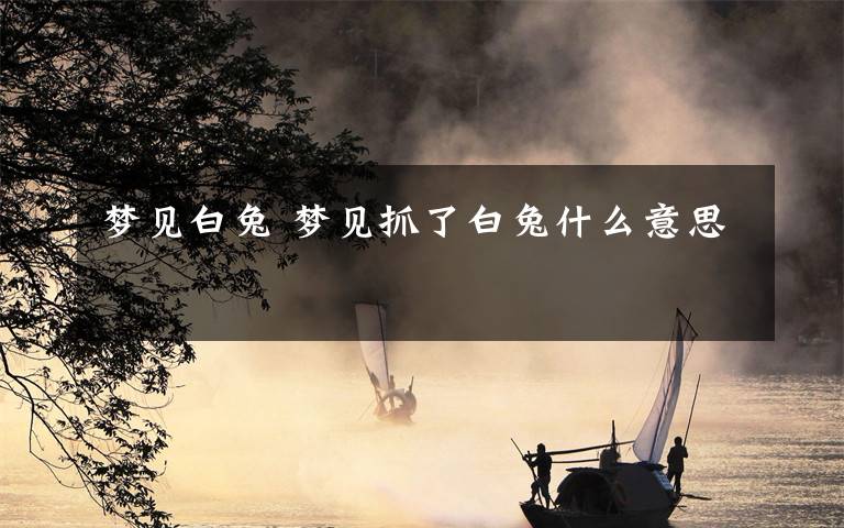 梦见白兔 梦见抓了白兔什么意思