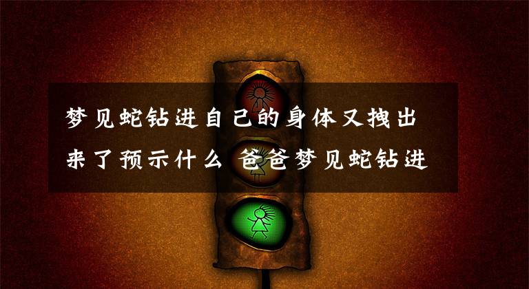 梦见蛇钻进自己的身体又拽出来了预示什么 爸爸梦见蛇钻进裤腿里