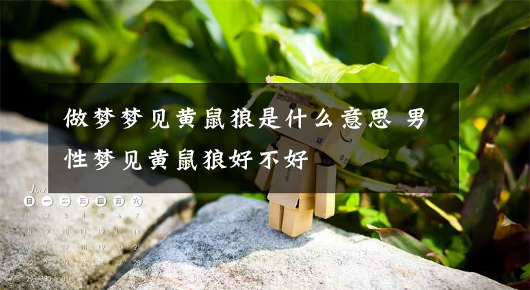 做梦梦见黄鼠狼是什么意思 男性梦见黄鼠狼好不好