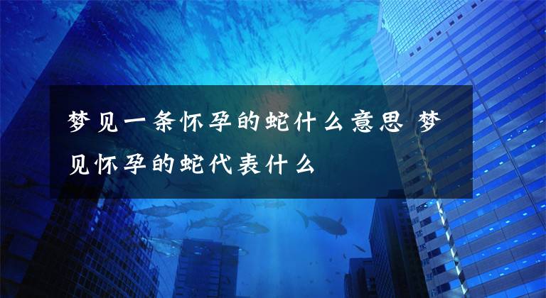 梦见一条怀孕的蛇什么意思 梦见怀孕的蛇代表什么