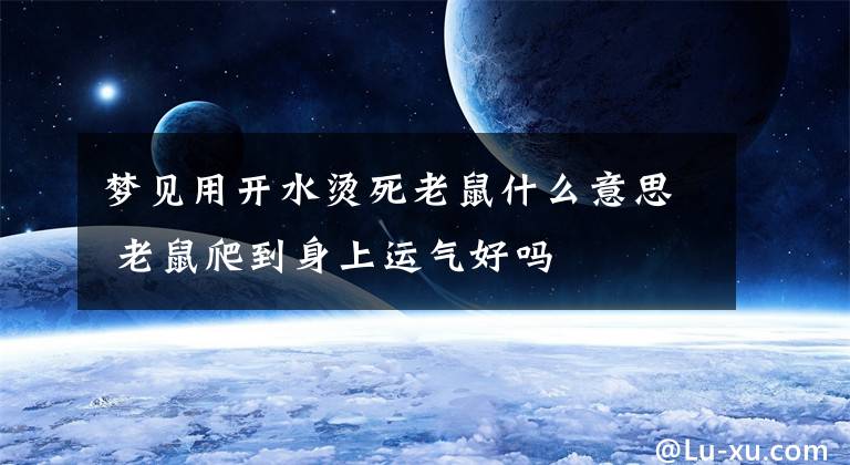 梦见用开水烫死老鼠什么意思 老鼠爬到身上运气好吗