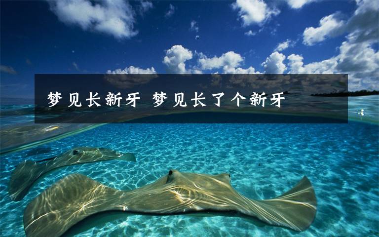 梦见长新牙 梦见长了个新牙