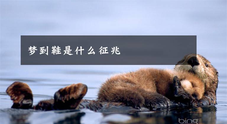 梦到鞋是什么征兆