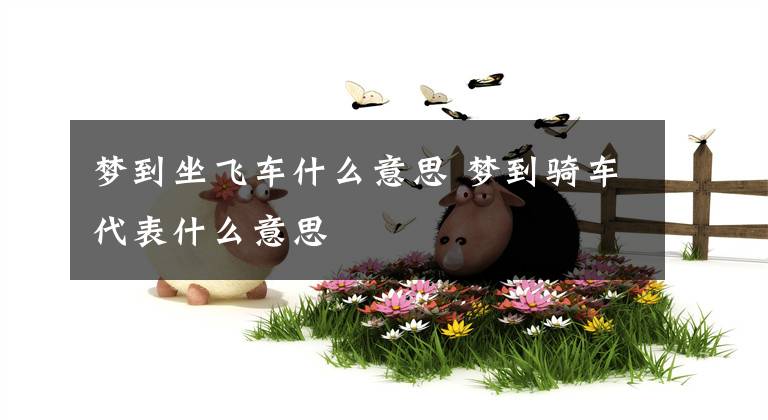 梦到坐飞车什么意思 梦到骑车代表什么意思
