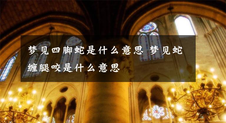 梦见四脚蛇是什么意思 梦见蛇缠腿咬是什么意思