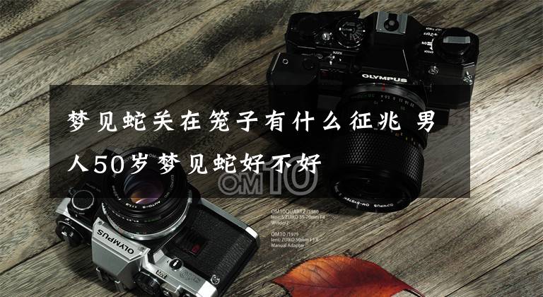 梦见蛇关在笼子有什么征兆 男人50岁梦见蛇好不好