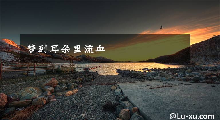 梦到耳朵里流血