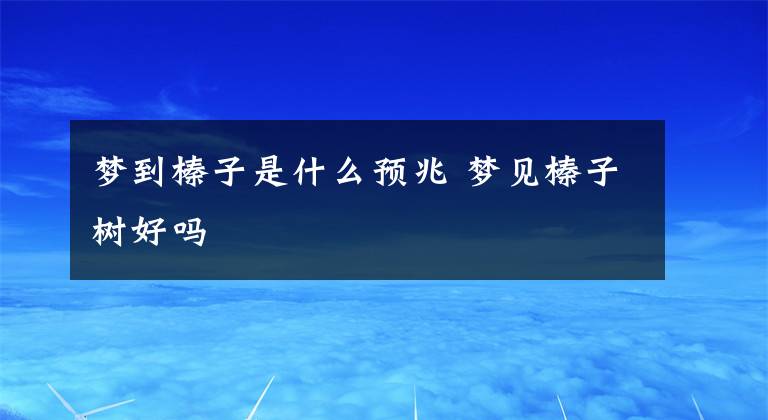 梦到榛子是什么预兆 梦见榛子树好吗