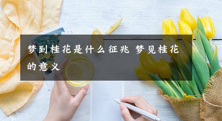 梦到桂花是什么征兆 梦见桂花的意义