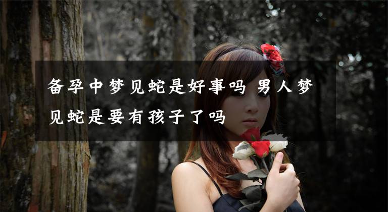 备孕中梦见蛇是好事吗 男人梦见蛇是要有孩子了吗