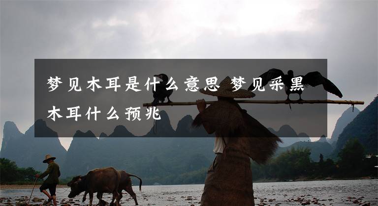 梦见木耳是什么意思 梦见采黑木耳什么预兆