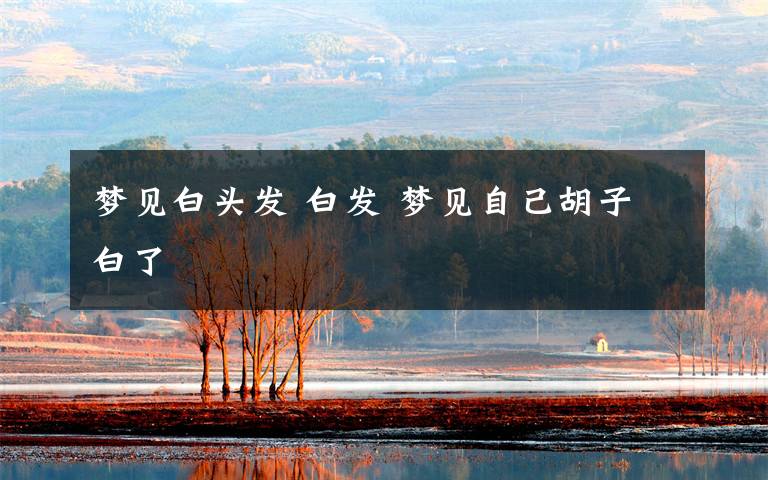 梦见白头发 白发 梦见自己胡子白了
