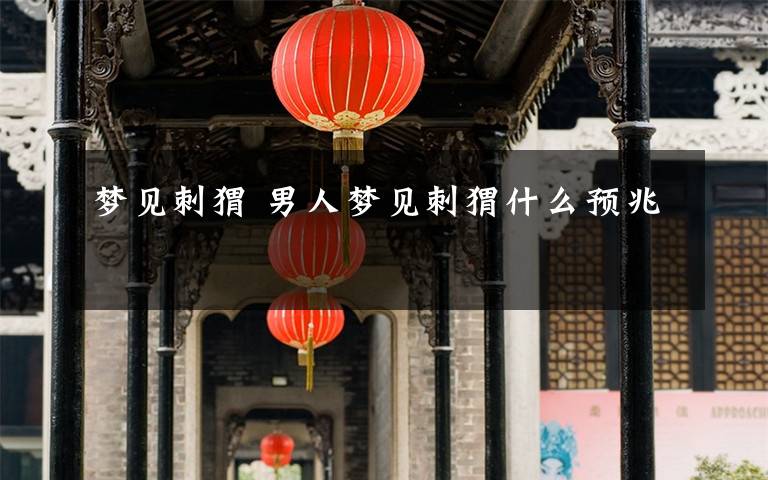 梦见刺猬 男人梦见刺猬什么预兆
