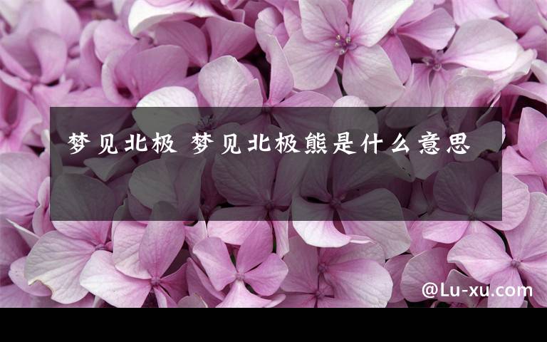 梦见北极 梦见北极熊是什么意思