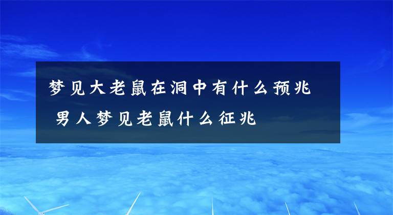 梦见大老鼠在洞中有什么预兆 男人梦见老鼠什么征兆