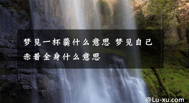 梦见一杯羹什么意思 梦见自己赤着全身什么意思